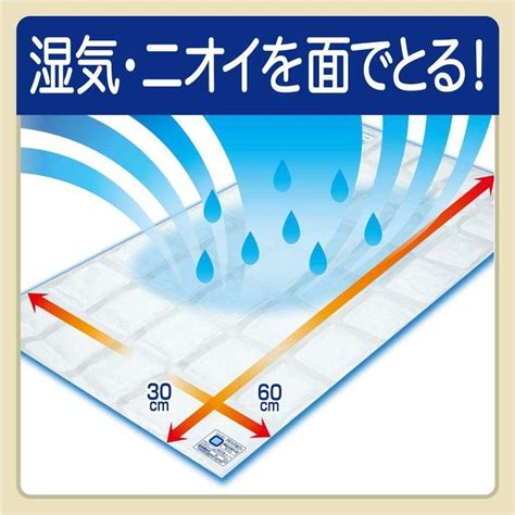 ドライペット 除湿剤 ぐんぐん吸いこむ大判シート くりかえし再生タイプ 2枚入 押入れ クローゼット用 湿気取り