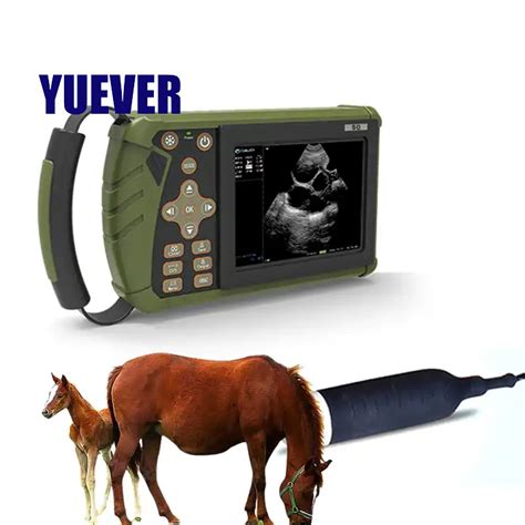 Veterinary Instrument Professional Palm Full Digital Veterinary