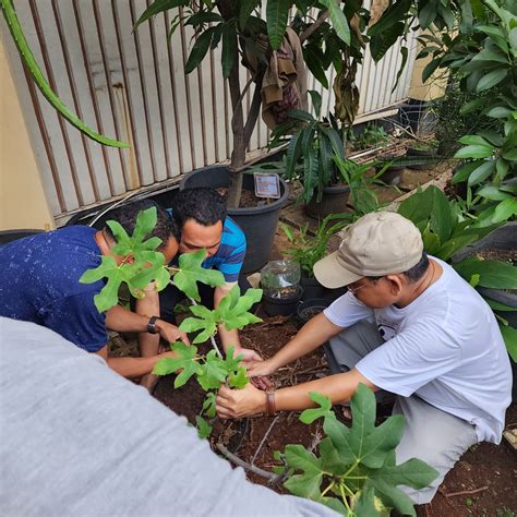 Gardianat Portiuncula Merayakan Hari Menanam Pohon Ofm Indonesia