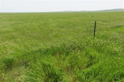 Buffalo Gap National Grassland Fall River County South Dakota A