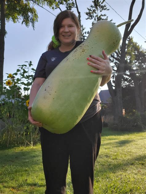 Zucca Melon 10 Seeds Giant Gourd Etsy