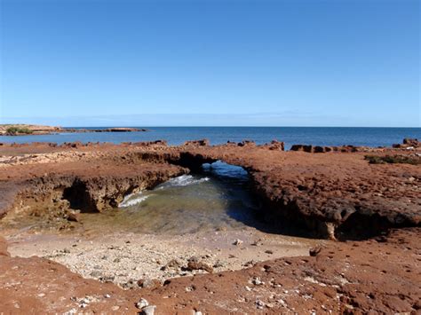 Australian Saltwater Fly Fishing guide - Wilderness Island