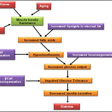 Metabolic Syndrome of Type 2 Diabetes. | Download Scientific Diagram