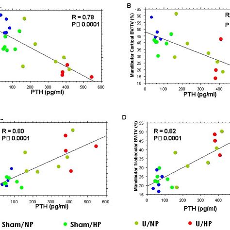 Linear Regression Analysis Between Serum Parathyroid Hormone Pth