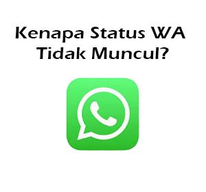 Kenapa Status Wa Tidak Muncul Ternyata Ini Penyebabnya