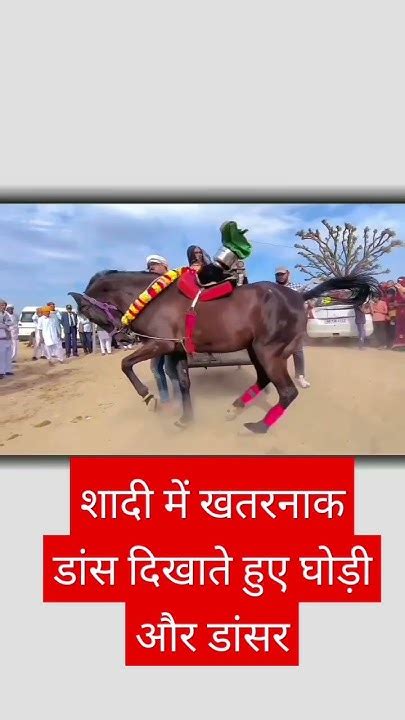 शादी में जबरदस्त माहौल डांस का 👍 ️chunni Horse Ghoda Song Dance