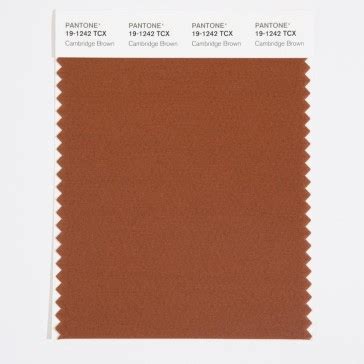 Pantone Tcx Swatch Card Yellow Iris Design Info