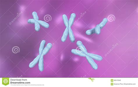 X Chromosomes With DNA Molecules Genetics Concept 3D Rendered