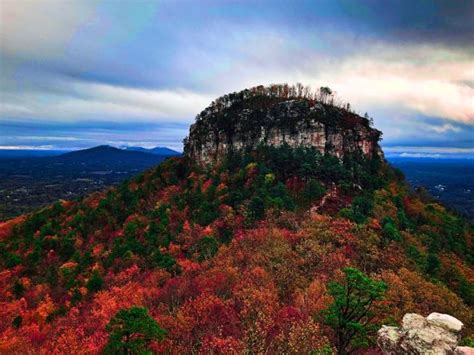 Pinnacle 2017 Best Of Pinnacle Nc Tourism Tripadvisor