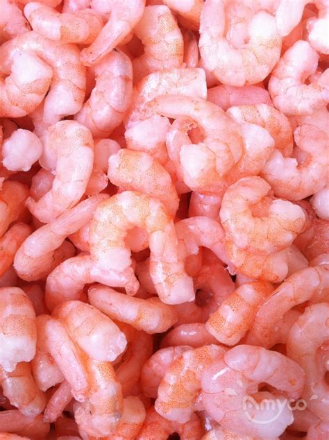 Vannamei Shrimp Cpud Amyco Seafoods China Tilapia Suppliertilapia