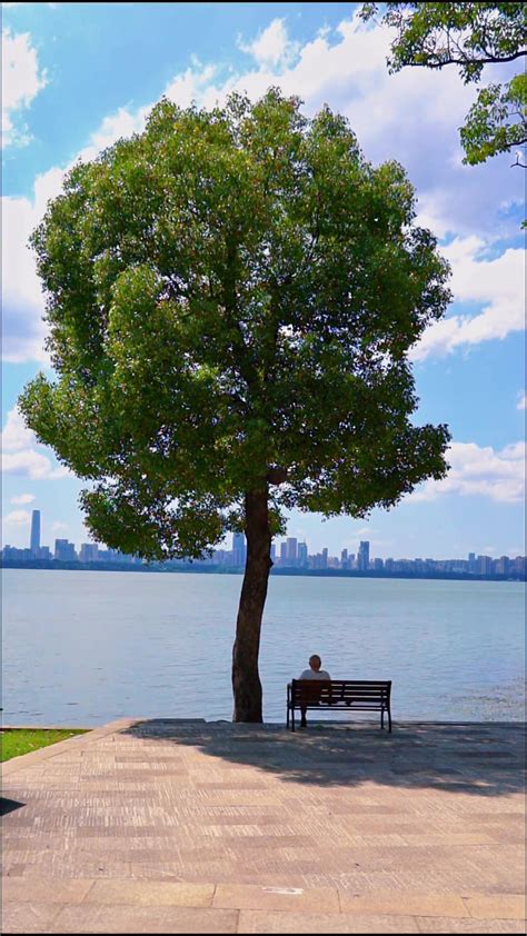 这个夏天一定要和喜欢的人来东湖看看这棵孤独的树，因为它见证了人来人往，万千浪漫 东湖绿道 磨山景区 孤独的一棵树 东湖 度小视