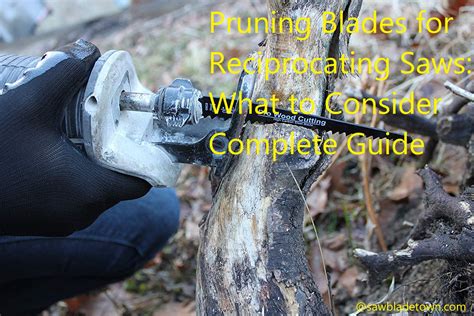 Pruning Blades for Reciprocating Saws: What to Consider Complete Guide