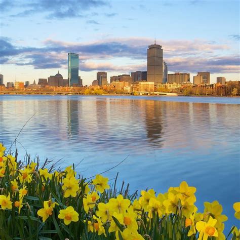 Spring Boston Massachusetts New York Skyline Photo