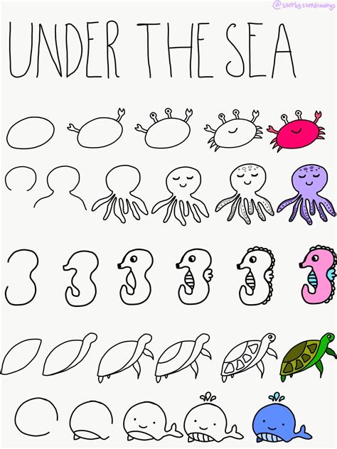 Step By Step How To Draw Ocean Animal Doodles Easy Doodles Drawings