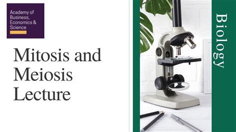 Mitosis And Meiosis Lecture Biology Igcse O Level Gcse A Level