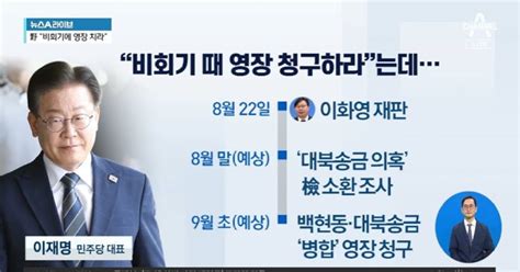 ‘피의자 신분 이재명구속영장 청구 시점 지목 왜