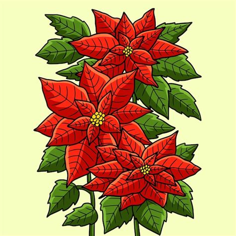 Flor De Nochebuena Coloreado Caricatura Ilustraci N Vector Premium