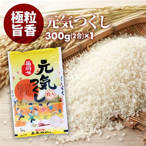 【楽天市場】福岡米 元気つくし 無洗米 300g 2合 1パック お試しパック プロが選ぶ 一等米 食味ランク 特a 精米 福岡県産産