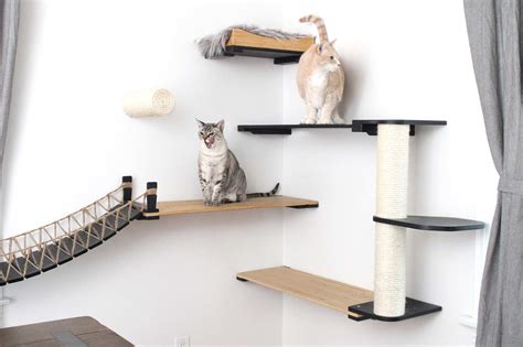 Why Cat Wall Installations ⋆ Catastrophic Creations