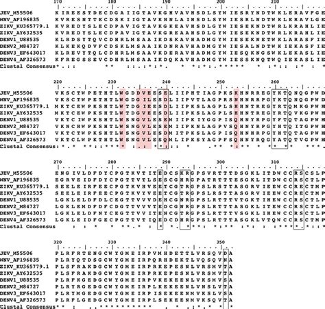 Sequence Alignment Of Full Length Flavivirus NS1 Produced From Clustal