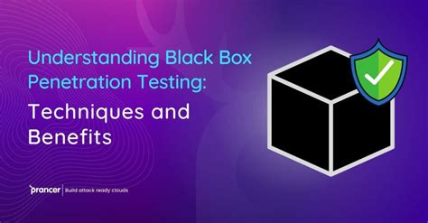 Understanding Black Box Penetration Testing Key Techniques