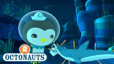 Octonauts Important Missions Ocean Adventures Cartoons For Kids