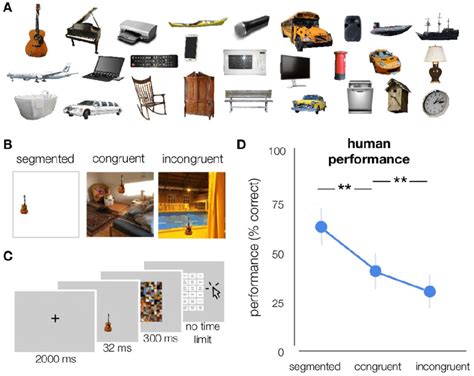 Stimuli And Experimental Design A Examples Of The Different Object