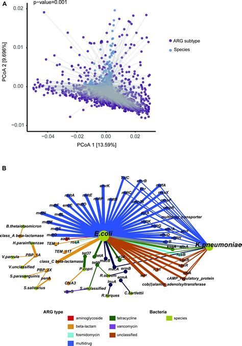 Frontiers Metagenomic Analysis Reveals The Distribution Of Antibiotic