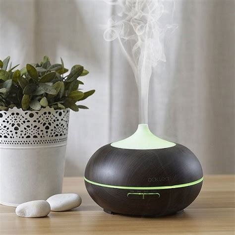 Is a Humidifier Good for Asthma? - (Editor's Top Picks of 2021)