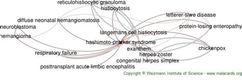 Hashimoto Pritzker Syndrome Disease Malacards Research Articles