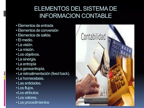 Importancia De La Informacion Contable Dentro De La Organizacion Ppt