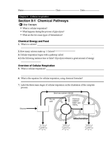 Cell respiration worksheet - Name Class Date Section 9-1 Chemical