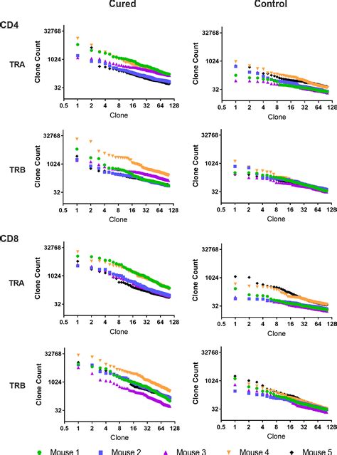 Frontiers Anti Tumor Memory CD4 And CD8 T Cells Quantified By Bulk T