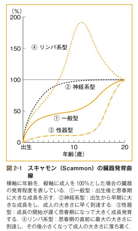 小児矯正における咬合誘導と咬合育成について Album 83 石井ちゃんのひとりごと