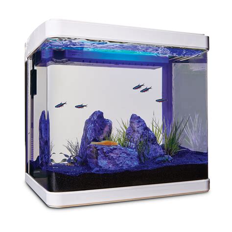 Freshwater Aquarium Kit Online