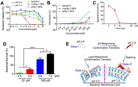 Characterizations Of The Antimicrobial Activity Of Peptide Phly 1 A