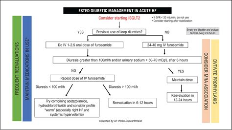 Resistance To Loop Diuretics How To Address It In The Current Scenario