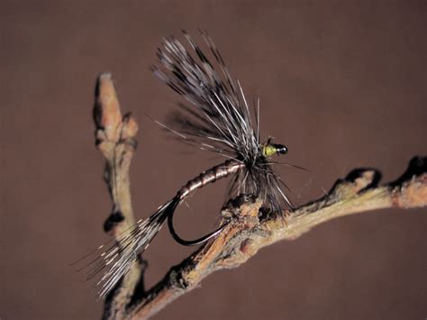 Mosca Seca Ef Mera Modelo Sin Muerte Con Pluma De Le N Pesca Con