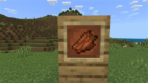 What Can You Do With Rotten Flesh In Minecraft Top Uses