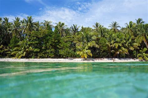 Tropical Beach With Lush Vegetation Stock Image Image Of Landscape