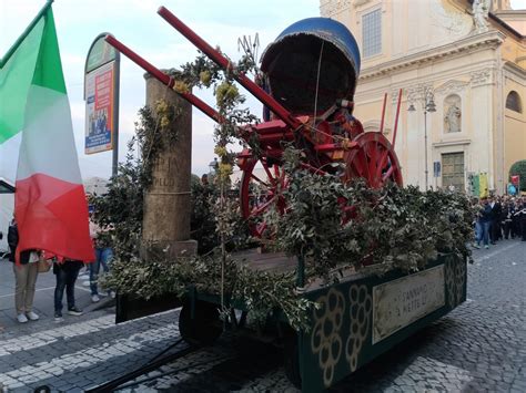 Sagra Dell Uva Di Marino Sagra DellUva Di Marino