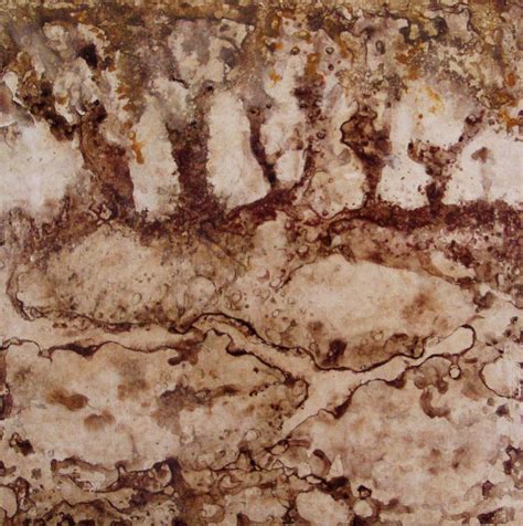 Limestone Beautiful Textures Limestone Contemporary Artists