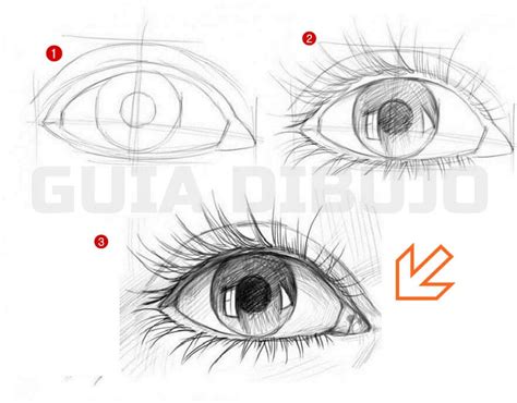 Como Dibujar Un Ojo De Forma Facil Paso A Paso Con Varios Ejemplos