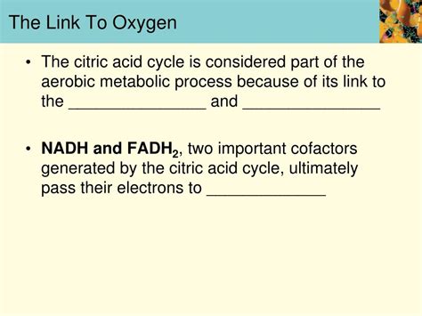 Ppt The Central Role Of The Citric Acid Cycle Powerpoint Presentation