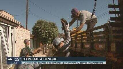 Mutirão conta a dengue recolhe mais de 12 toneladas de materiais em 30