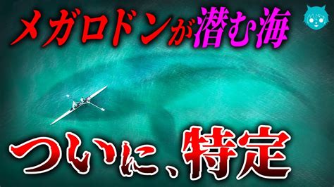 【検証】メガロドンの生存海域、特定してみた｜絶滅回避の条件とは Youtube