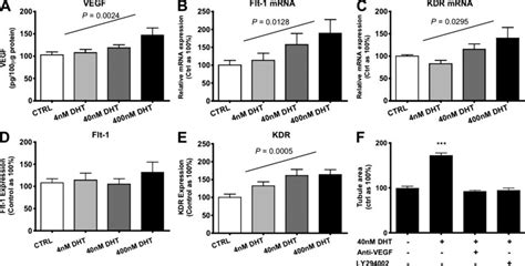 Proangiogenic Effects Of Dht In Male Ecs Is Vegf Dependent A