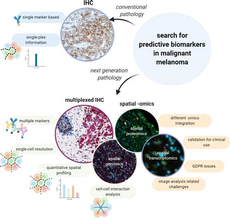 Frontiers Multiplexed Immunohistochemistry And Digital Pathology As