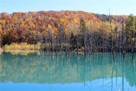 5 Best Autumn Leaves Spots In Hokkaido Japan Travel Guide Jw Web