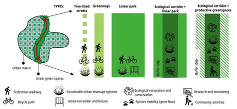 Types Of Linear Green Spaces In The Spatial Planning Model At The